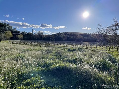 Family-run wine estate located in the centre of the Var, in the heart of the Cotes de Provence appellation, with a surface area of around 55 hectares supplemented by leased plots. The size of the vineyard, visibility, position and configuration of th...