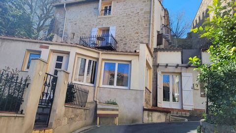 Nice hamlet with no shop but just 5 minutes from Pezenas, touristic medieval town with all shops and restaurants, 20 minutes from Beziers and the coast. Very pretty and attractive village house in excellent good condition with 132 m2 of living space ...