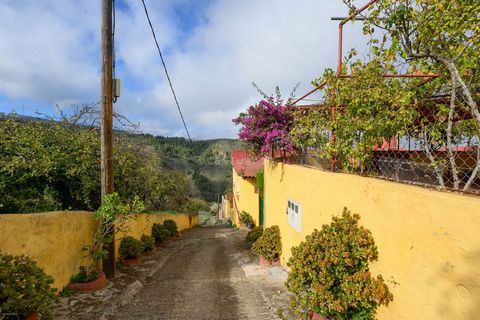 Welcome to your new home in Vega de San Mateo, just 5 minutes from the town centre! This amazing property is a unique opportunity that combines the comfort of two houses joined together with an extensive plot planted with fruit trees. The main house ...