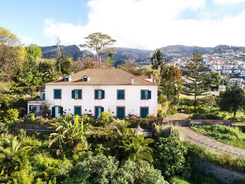 Découvrez ce joyau unique situé à Funchal, plus précisément dans la paroisse de l'Imaculado Coração de Maria. À seulement 10 minutes en voiture du centre de Funchal, cette propriété offre le cadre parfait pour concrétiser vos rêves. Si vous envisagez...