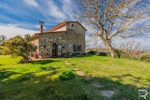 This wonderful rustico, an antique farmhouse, beautifully situated in the area of Scansano, captivates with its dominant position, which offers you a spectacular 360-degree view of the surrounding nature. This house is the last on a dirt road and is ...