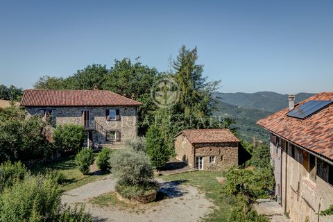 Ancient village of stone houses dating back about 300 years ago with spectacular panoramic views of the Alpine chain. An ideal place to spend your holidays surrounded by meadows, vineyards, fields, woods for a total of approximately 20,000 sqm of lan...