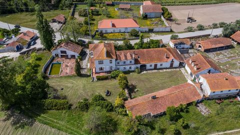 Quinta dos Cozinheiros is located in Marinha das Ondas, 20 minutes away from the city of Figueira da Foz and 30 minutes away from the city of Leiria. This farm is inserted in a land with 3153m2 and there is the possibility to sell with it other indep...
