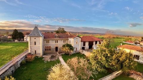 This stunning 16th Century chateau has been fully renovated but retains all its original charm and character. The property has 5 bedrooms, several large outbuildings and over 2 acres of land. The pretty riverside village of Montrejeau is a few minute...
