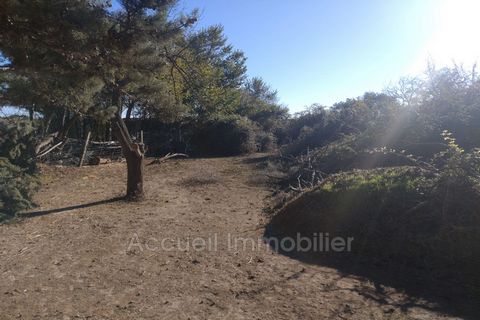 Agricultural land with Well Sold with generator, water pump, 4 Crau hay mattresses, bathtubs and various things Fruit trees, olive tree Ideal for horses 19 500 € Fees paid by the owner, no current procedure, information on the risks to which this pro...