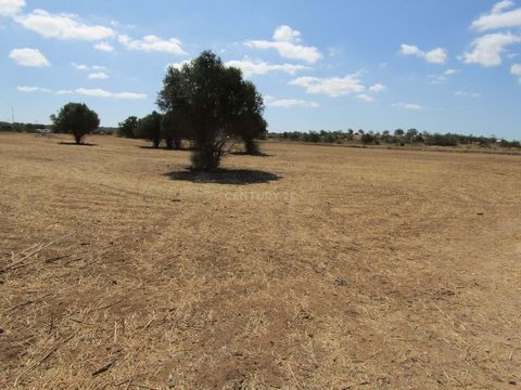 Land with about two hectares next to Pera. It has good access and can be destined to agriculture.