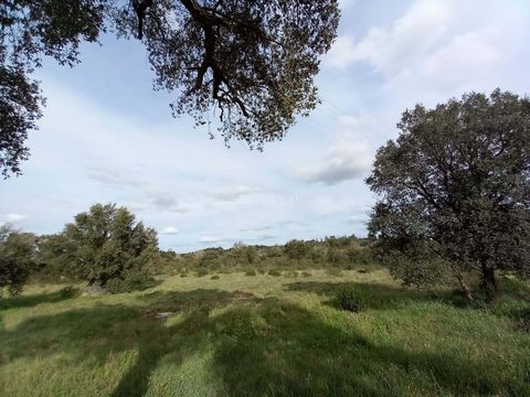 Rustikales Grundstück mit 8545m2 in der Ortschaft Póvoa de Rio de Moinhos Flaches Land und komplett eingezäunt, gute Zufahrt. Es ist 150 Meter vom Asphalt entfernt, die Ampel befindet sich neben dem Weg. Es befindet sich 500 Meter vom Dorf entfernt S...