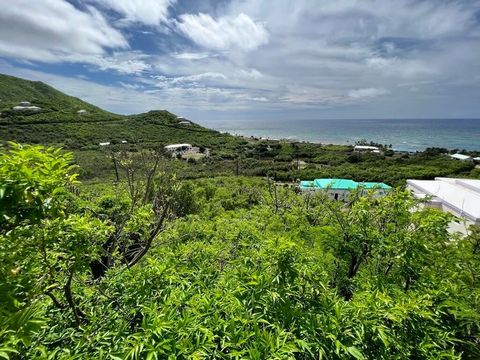 Very buildable half acre lot with fantastic sweeping views of the south shore, lush rolling hills, and blue Caribbean Sea! Nearby are superb beaches, The Divi Casino, great restaurants, and excellent hiking and snorkeling at the Nature Conservancy's ...
