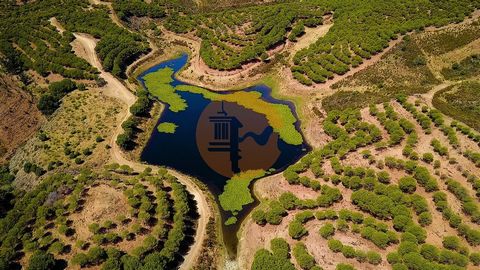 Terrain de 643.160m², à Soalheira, Castro Marim - Algarve. Avec son propre lac et son étang d’eau. Electricité sur place. Terrain mixte avec zone urbaine pour construction immédiate. Possibilité de projets agricoles. Possibilité d’un TURISCO DEVELOPM...