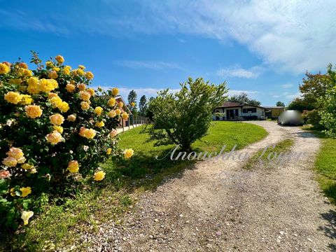 Located 50 minutes from Bordeaux, in Saint-Martial, between Langon and Sauveterre de Guyenne. Built in 1990 on a 1500 m² plot of land, this single-story house of 114 m² offers a practical layout with a cozy living room equipped with a fireplace inser...