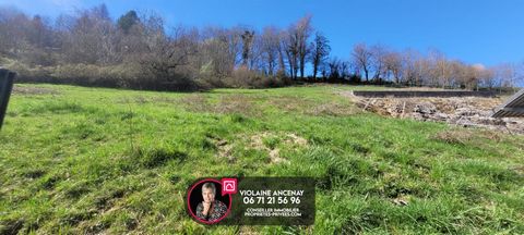 SAINT CASSIN (73160). EXCLUSIVE! Building land free of builder on the heights of the village, excluding subdivision 1593m² of which approx. 750m² buildable and the rest in a protected agricultural area. Serviced land / Mains drainage. Parcel division...