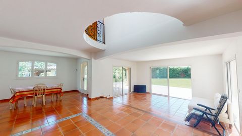 photo no. 1
