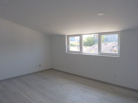 photo no. 13