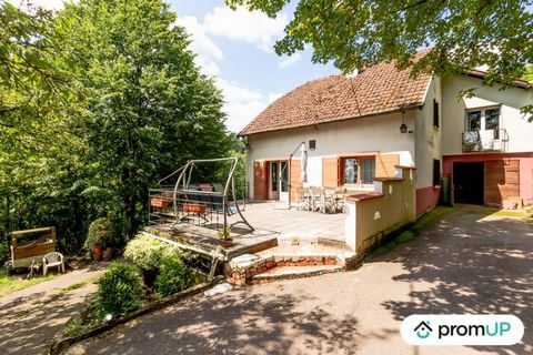 Stellen Sie sich vor, Sie wohnen in einem charmanten, 200 m² großen alten Haus, das sich im malerischen Dorf Tieffenbach befindet. Eingebettet auf einem Grundstück von 2000 m² bietet Ihnen dieses Haus mit authentischem Charme ein unglaubliches Potenz...