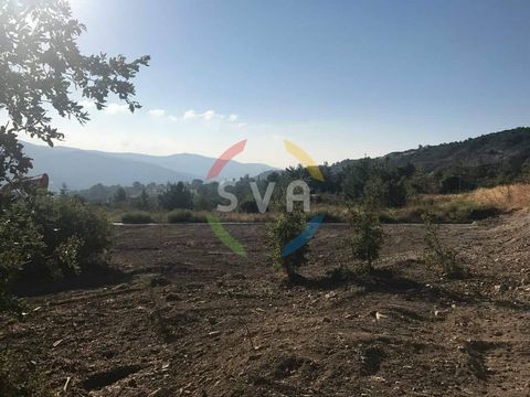 For sale, Land plot, in Pera Pedi. The Land plot is , the building factor is 20 and the coverage ratio is 20%. Price: €130.000. SVA Estates