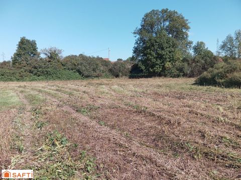 A vendre très beau terrain constructible de 500 m2 situé sur la Commune de Arandon Passins. Terrain entièrement constructible, les réseaux eaux usées, eau potable, EDF et Télécom sont situés en bordure du terrain. Le terrain est borné, il est entière...