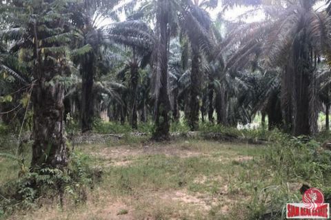 Step into a remarkable opportunity with this expansive 10 Rai plot of land, perfect for those seeking a prime investment in real estate. This property boasts a well-established 18-year-old palm plantation, offering not only natural beauty but also po...