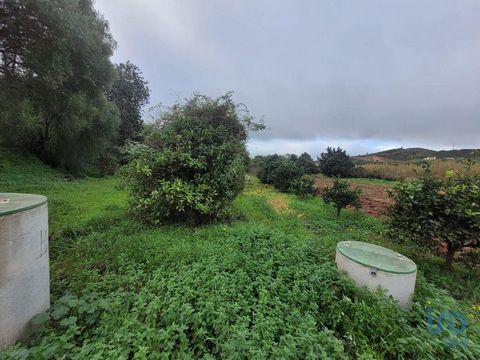 Vende-se terreno rústico com cerca de 3900 m², situado numa zona tranquila e de fácil acesso, na zona de Silves. Este terreno plano conta com diversas árvores de fruto e beneficia de um excelente acesso alcatroado, garantindo comodidade e praticidade...