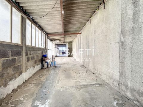 photo no. 6