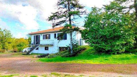 Situato in un piccolo villaggio tranquillo, essendo arretrato rispetto alla strada su un grande terreno boscoso sopraelevato, circondato da giardini maturi e annessi discreti per gli animali, con la sua piscina interrata propria. Con ottimi collegame...