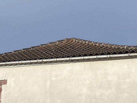 photo no. 11