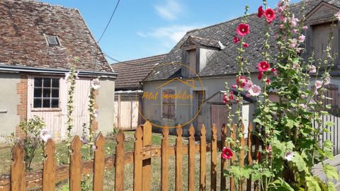 Renovation Opportunity in an Ideal Setting in the town of CRAVANT! Just 10 minutes from the A10 motorway and 6 minutes north of BEAUGENCY, in the commune of CRAVANT itself, this property offers incredible potential for renovation and transformation i...