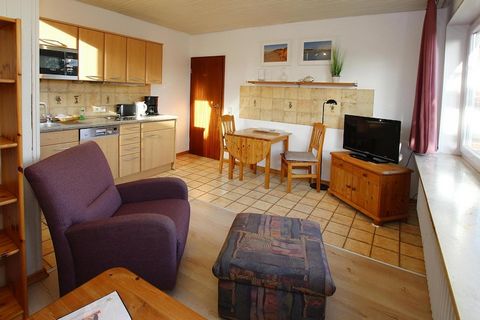 Spacious apartments just 1.5 kilometers from the beautiful sandy beaches of the North Sea. Spend time with the whole family on the beach splashing around, looking for shells and building castles. Or listen to a pirate tale on board a cutter on the hi...