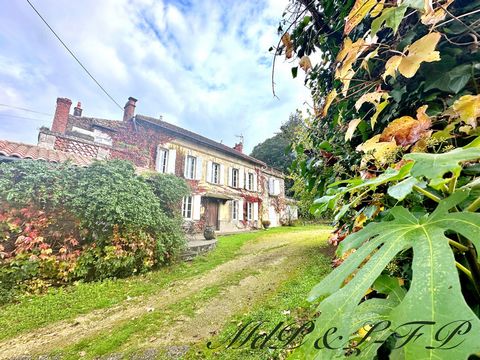 photo no. 2