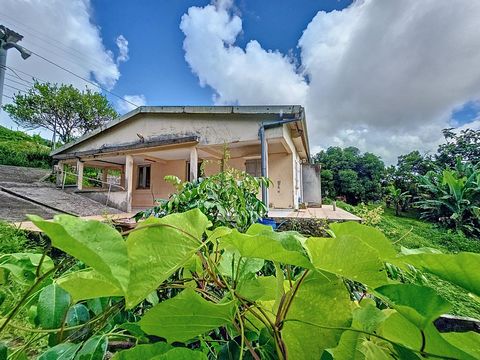 Maison 4 pieces avec grand terrain