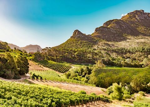 DOMAINE VITICOLE EN PROVENCE 200 HA