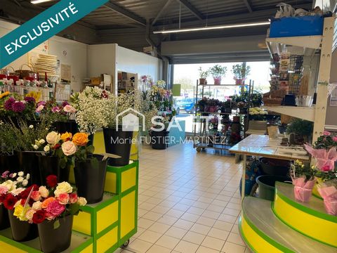 Votre magasin aux portes de Moret-sur-Loing