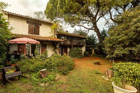 Maison 4 chambres – Grand terrain arboré – Lesparre-Médoc