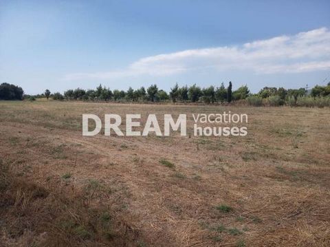 Description Laganas, Agricultural Land For Sale, 9.406 sq.m., Price: 200.000€. Πασχαλίδης Γιώργος Additional Information Flat plot in a very quiet and secluded environment in the area between Laganas and Kalamaki. It has a surface of 9.406sqm, builds...