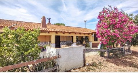 Pozo del Camino - Finca for Sale in Spain Pozo del Camino - Finca for Sale in Spain . Finca in Pozo del Camino / Ayamonte / Prov. Huelva. Country house of approx. 113 m2 constructed surface. Large plot of about 5.000 m2. Fully furnished. 4 bedrooms. ...