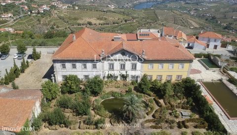Magnificent palace of the sixteenth century, for sale, in the Alto Douro Wine Region, with 3.5 Ha in the heart of Cambres, in Lamego. Perfect setting for project development for a Boutique Hotel in a Wine Tourism concept, or for those looking for a h...