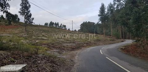 Rustic land in Quinchães Land with approximately 3,800 m2, flat, for planting or water exploration. Area of lots of water, next to the road, close to housing areas, business opportunity. Parish of Quinchães Quinchães is a parish in the municipality o...