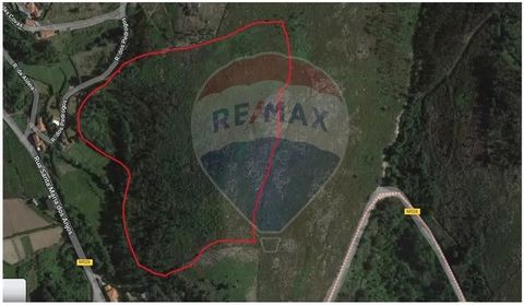 I present to you this land called Coutada da Serra and Campo Urreiros, in the place of Carude, in Vieira do Minho. With about 5 hectares, this land consists of trees and a water hole. Excellent business opportunity! AC