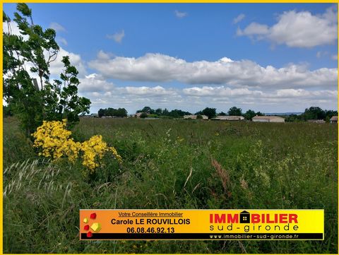 Pretty plot of 610m2 in small town 10kms from Langon offering all the advantages of a large. Schools, supermarket, bakery, pizzeria, restaurant, large pharmacy, doctors, optician and very recent sports complex. Come and imagine your old house that ca...