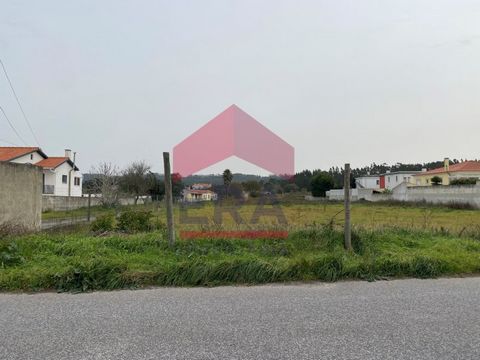 Rustikales Grundstück von 7400 m2 in Campo, Caldas da Rainha. Am Rande der Stadt gelegen, in einem Wohn- und Lagergebiet. In der Nähe von Handel und Dienstleistungen. 5 Minuten von Caldas da Rainha, 10 Minuten vom Strand Foz de Arelho und eine Stunde...