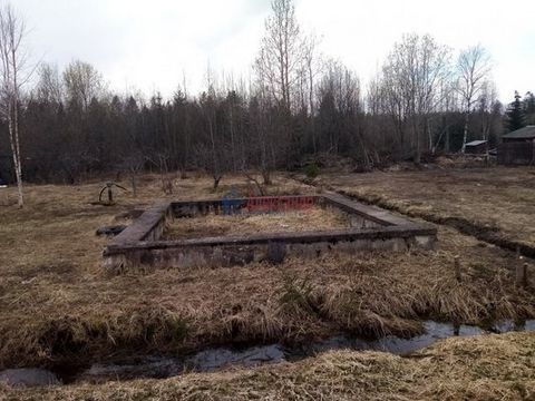 1683345 Отличный участок для ведения садоводства! В черте г. Волхов предлагаем купить отличный сухой участок площадью 6 соток, фактически больше, т.к это последняя дорожка. Находится на землях населенных пунктов, возможно построить жилой дом и зареги...