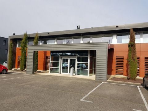 photo no. 8