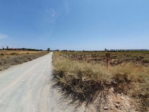 Bent u op zoek naar een rustieke finca te koop in Elche? Uitstekende gelegenheid om deze rustieke woning te verwerven in de stad Elche, provincie Alicante. Het heeft een oppervlakte van 19.703m². Het gebruik van de grond is agrarisch. Het is gelegen ...