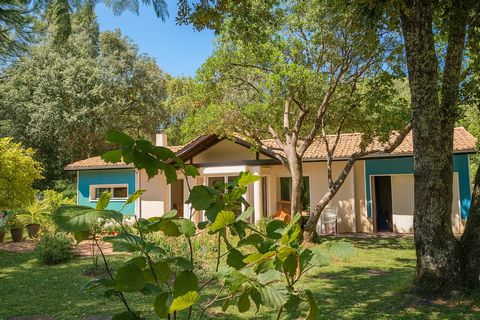 Lacanau Océan Maison 4 chambres