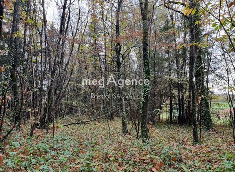 terrain à bâtir de 2850m2