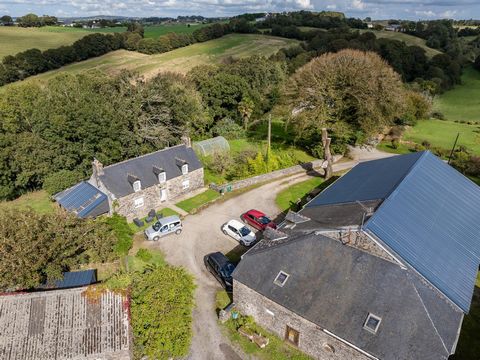 mix habitation / activité / investissement locatif