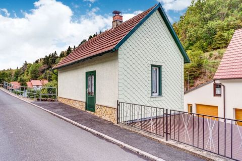 Unwind in the peaceful mountainous region in this holiday home in Schleusegrund, which can accommodate 2 people. The home has a furnished garden, where you can relax after a tiring day with a glass of wine with your meal. It is ideal or couples or fr...