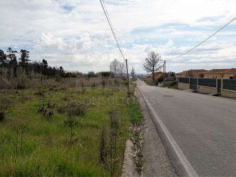 Land for construction in S. Martinho de Árvore-Coimbra, with an excellent location, close to the palace of S. Marcos, next to the football field and with quick access to the fast track and node of the A1 and A14. Positioned next to the road and pract...
