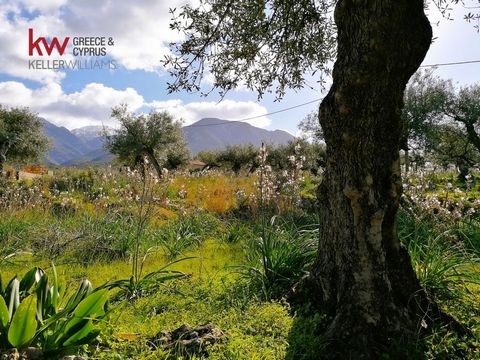 The plot is located within the boundaries of one of the oldest and most beautiful traditional settlements of Western Mani, Proastio village. Its privileged location is 5 minutes by car from the prestigious Kardamili, and the hidden beach of Patrick L...
