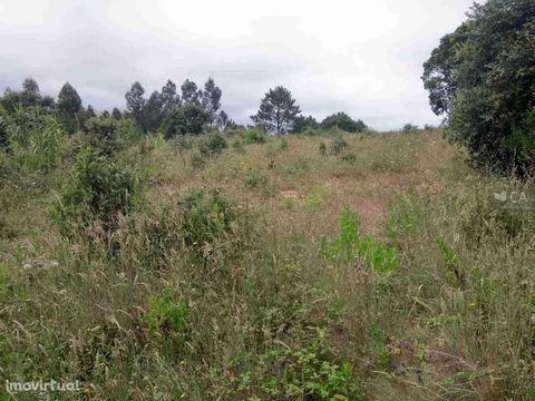 Land with an area of 1.4 hectares. Access by an agricultural road on dirt, from the village of 'Casais da Boavista' located near the village of Usseira. Energy Rating: Exempt