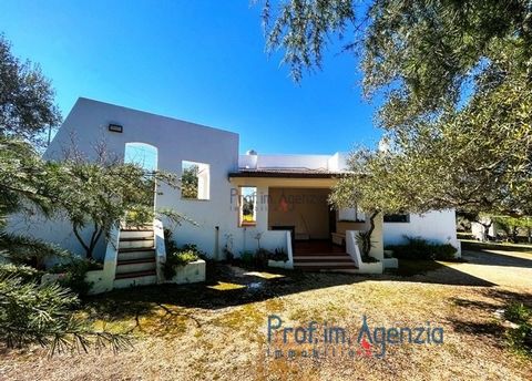 For sale is an elegant and bright villa with trulli in the countryside of Ostuni the 'White City', located on splendid panoramic land, in a rural but inhabited context. The property consists of two units: the first unit, the villa, consists of a larg...